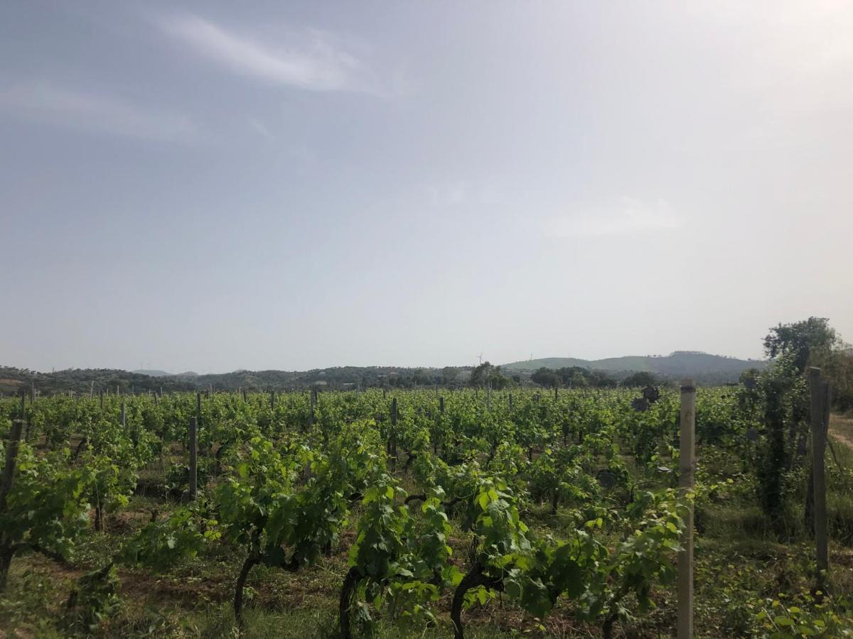 Agriturismo Donna Germana Cirò Marina Zewnętrze zdjęcie